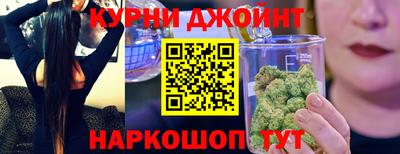 крисы Новозыбков