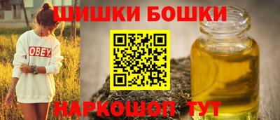 крисы Новозыбков