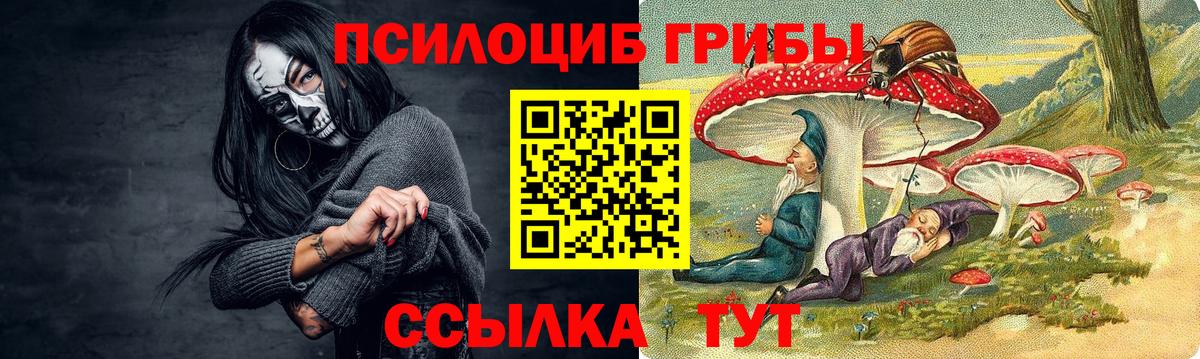 Псилоцибиновые грибы GOLDEN TEACHER  Вход с VPN  Хабаровск 