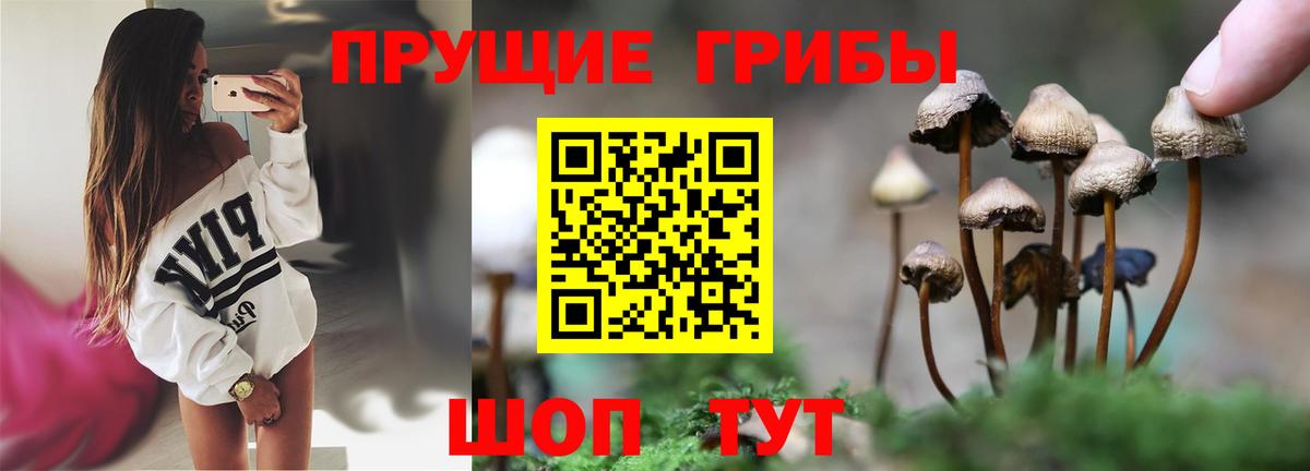 Галлюциногенные грибы прущие грибы Хабаровск